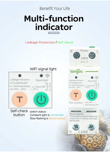 63A 2P TUYA Single Phase WIFI Smart Energy Meter KWh Metering Monitoring Circuit Breaker Timer Relay with Leakage Protection  TO-Q-SR263JWT