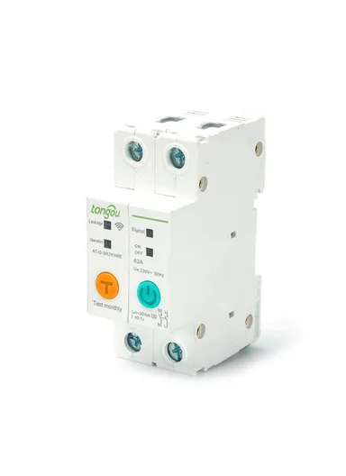 2P 63A Mobile eWelink Remote Controlled Din Rail WiFi Smart Circuit Breaker TO-Q-SR263WE