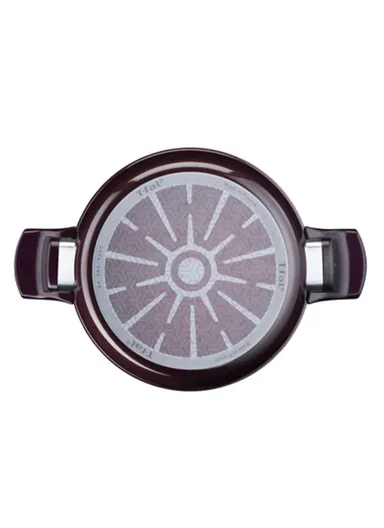 24cm Aluminum Titanium Resist Intense Stewpot With Stainless Steel Lid D5224682