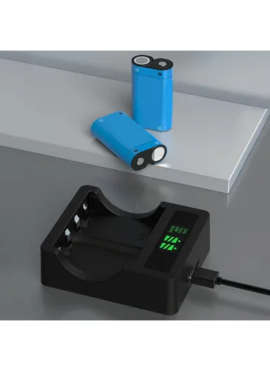 Beston Charger for Xbox + 2 Batteries