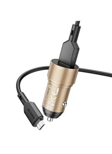 18W In-Car Fast Charger With Micro USB Cable BZ19A